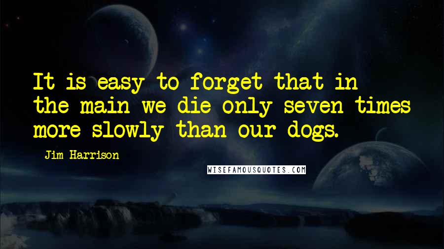 Jim Harrison Quotes: It is easy to forget that in the main we die only seven times more slowly than our dogs.