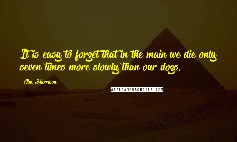 Jim Harrison Quotes: It is easy to forget that in the main we die only seven times more slowly than our dogs.