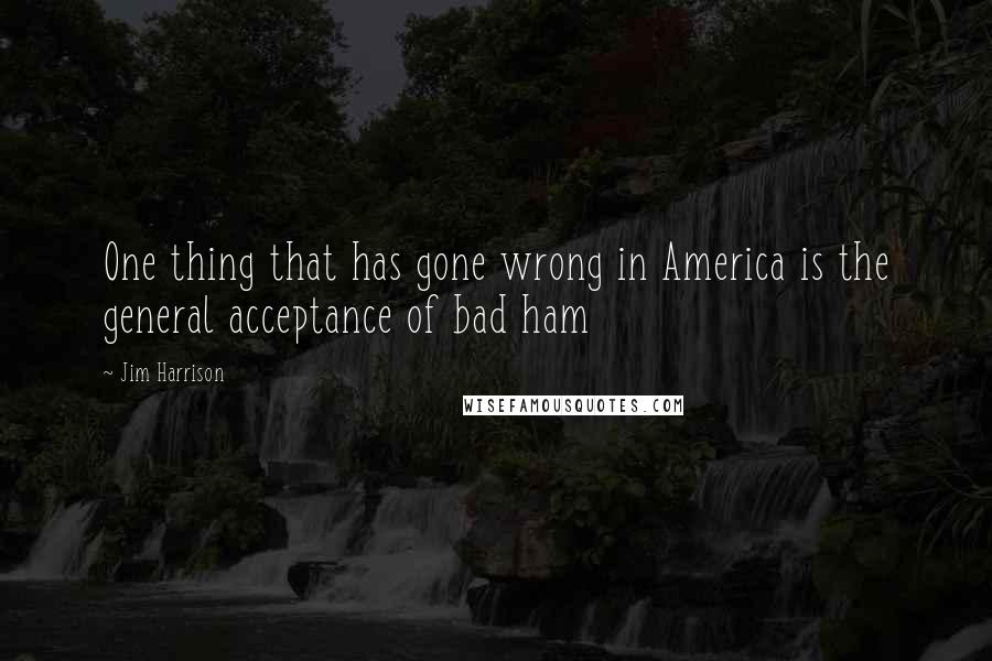 Jim Harrison Quotes: One thing that has gone wrong in America is the general acceptance of bad ham