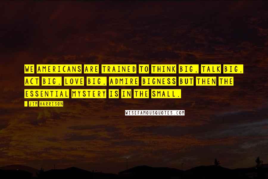 Jim Harrison Quotes: We Americans are trained to think big, talk big, act big, love big, admire bigness but then the essential mystery is in the small.