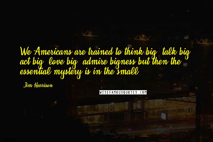Jim Harrison Quotes: We Americans are trained to think big, talk big, act big, love big, admire bigness but then the essential mystery is in the small.