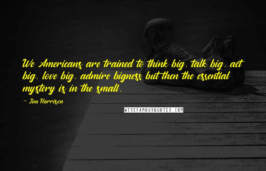 Jim Harrison Quotes: We Americans are trained to think big, talk big, act big, love big, admire bigness but then the essential mystery is in the small.