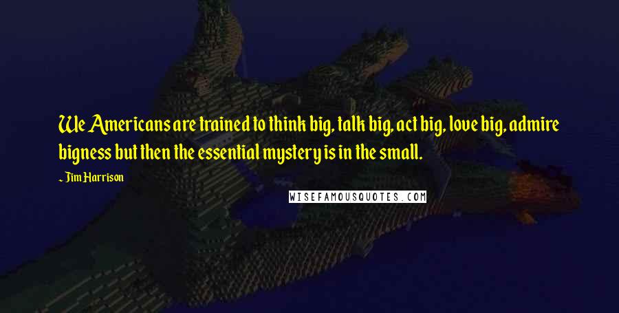 Jim Harrison Quotes: We Americans are trained to think big, talk big, act big, love big, admire bigness but then the essential mystery is in the small.