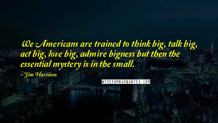 Jim Harrison Quotes: We Americans are trained to think big, talk big, act big, love big, admire bigness but then the essential mystery is in the small.