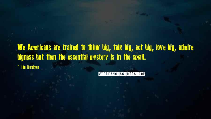 Jim Harrison Quotes: We Americans are trained to think big, talk big, act big, love big, admire bigness but then the essential mystery is in the small.