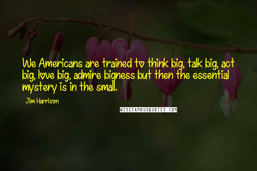 Jim Harrison Quotes: We Americans are trained to think big, talk big, act big, love big, admire bigness but then the essential mystery is in the small.
