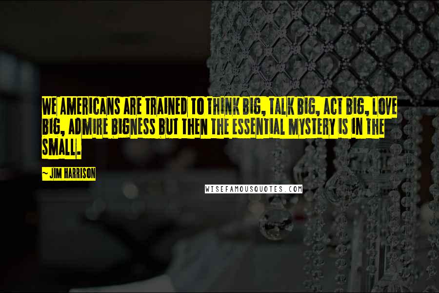 Jim Harrison Quotes: We Americans are trained to think big, talk big, act big, love big, admire bigness but then the essential mystery is in the small.