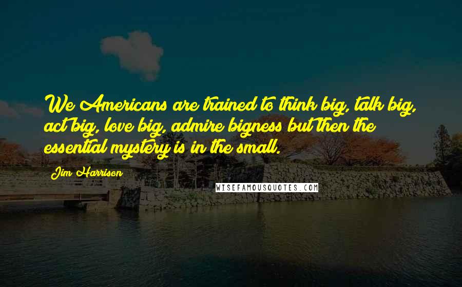 Jim Harrison Quotes: We Americans are trained to think big, talk big, act big, love big, admire bigness but then the essential mystery is in the small.