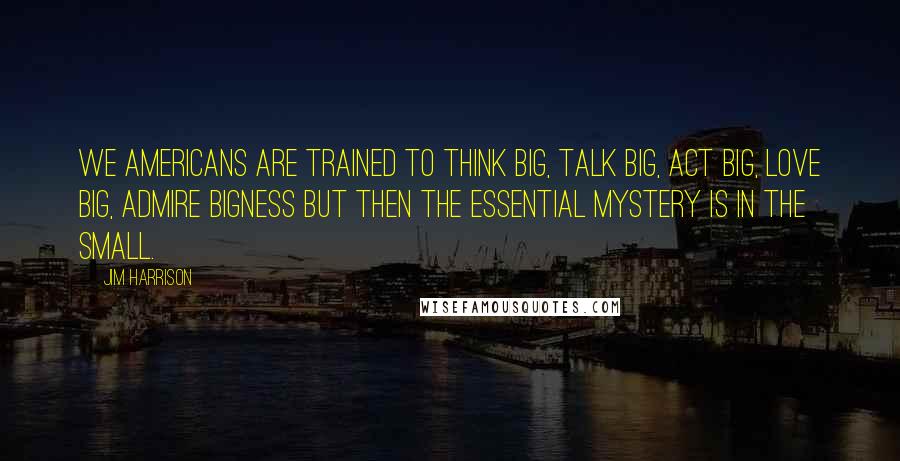 Jim Harrison Quotes: We Americans are trained to think big, talk big, act big, love big, admire bigness but then the essential mystery is in the small.