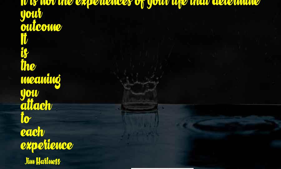 Jim Hartness Quotes: It is not the experiences of your life that determine your outcome. It is the meaning you attach to each experience.