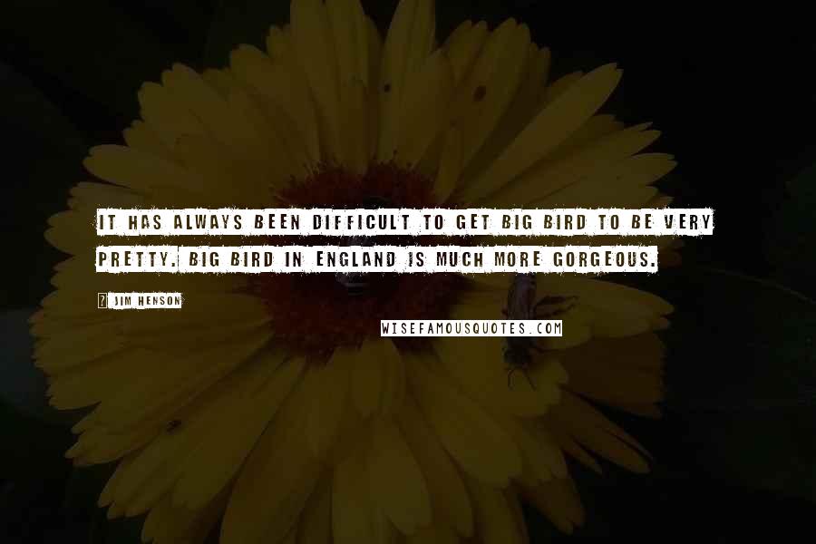 Jim Henson Quotes: It has always been difficult to get Big Bird to be very pretty. Big Bird in England is much more gorgeous.