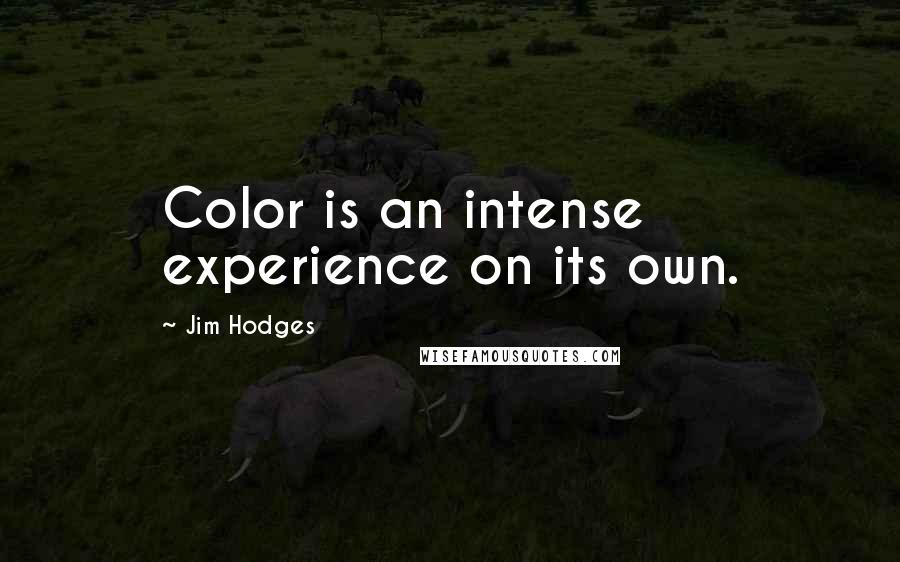 Jim Hodges Quotes: Color is an intense experience on its own.