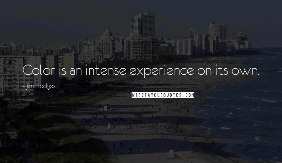 Jim Hodges Quotes: Color is an intense experience on its own.