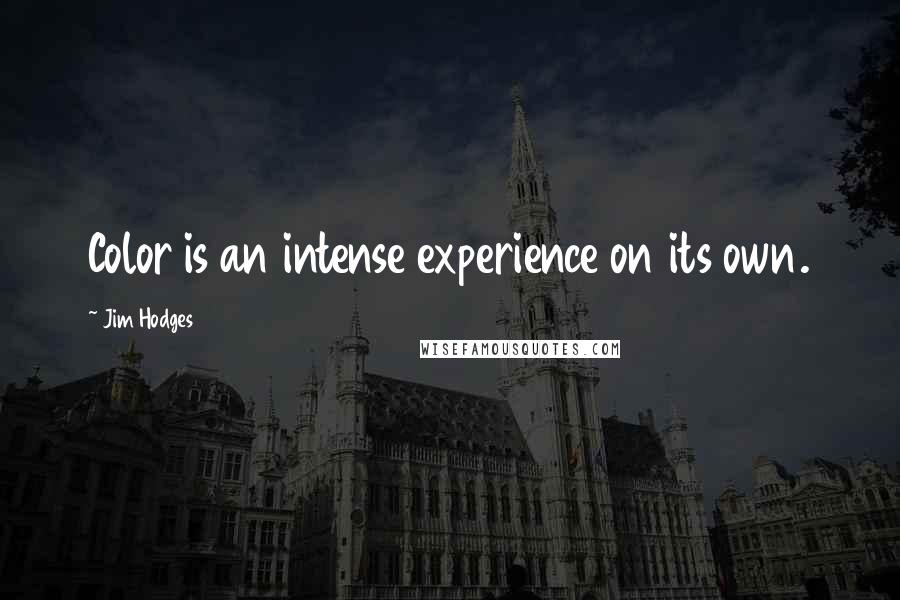 Jim Hodges Quotes: Color is an intense experience on its own.