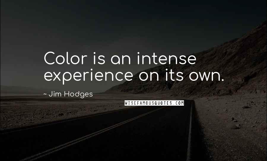 Jim Hodges Quotes: Color is an intense experience on its own.