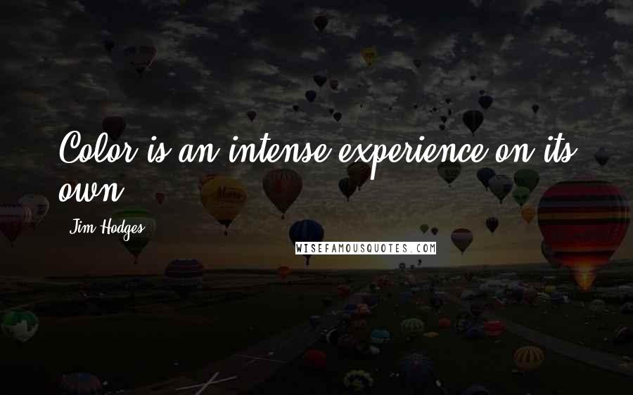 Jim Hodges Quotes: Color is an intense experience on its own.