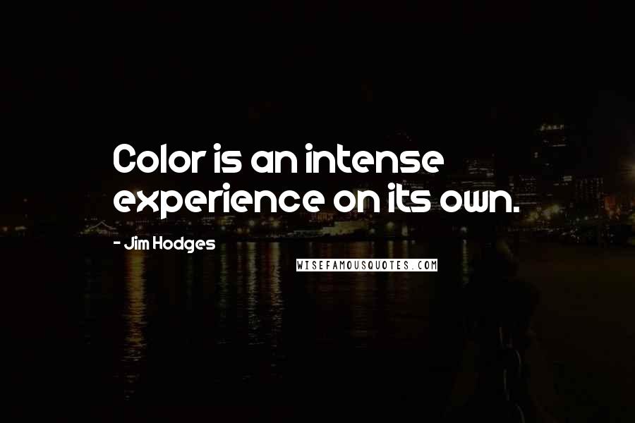 Jim Hodges Quotes: Color is an intense experience on its own.