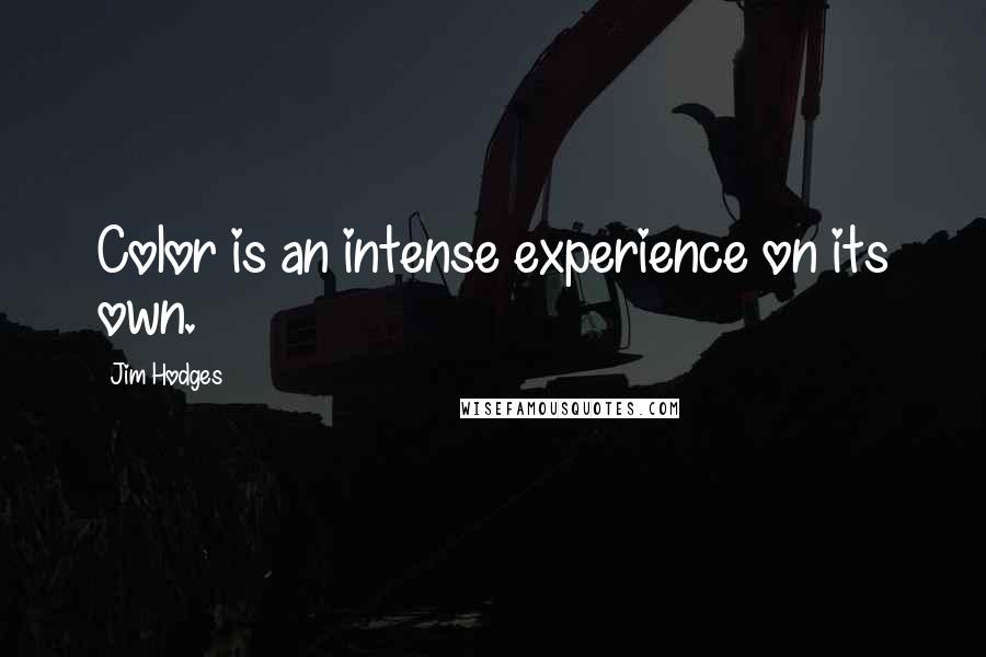 Jim Hodges Quotes: Color is an intense experience on its own.