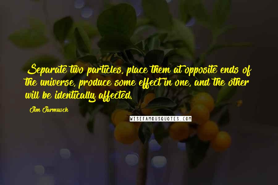 Jim Jarmusch Quotes: Separate two particles, place them at opposite ends of the universe, produce some effect in one, and the other will be identically affected.