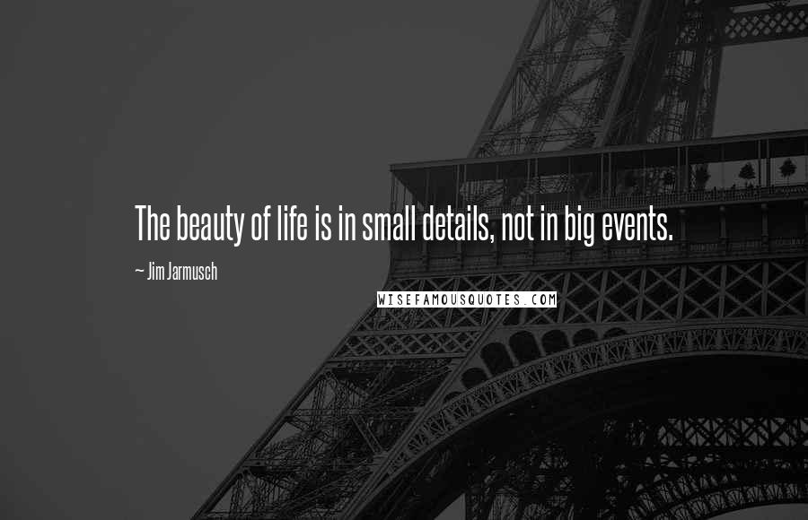 Jim Jarmusch Quotes: The beauty of life is in small details, not in big events.