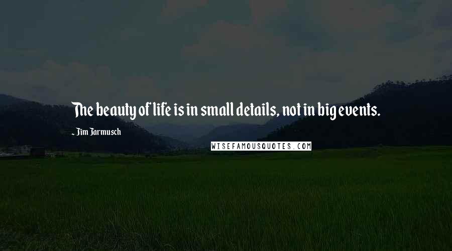 Jim Jarmusch Quotes: The beauty of life is in small details, not in big events.