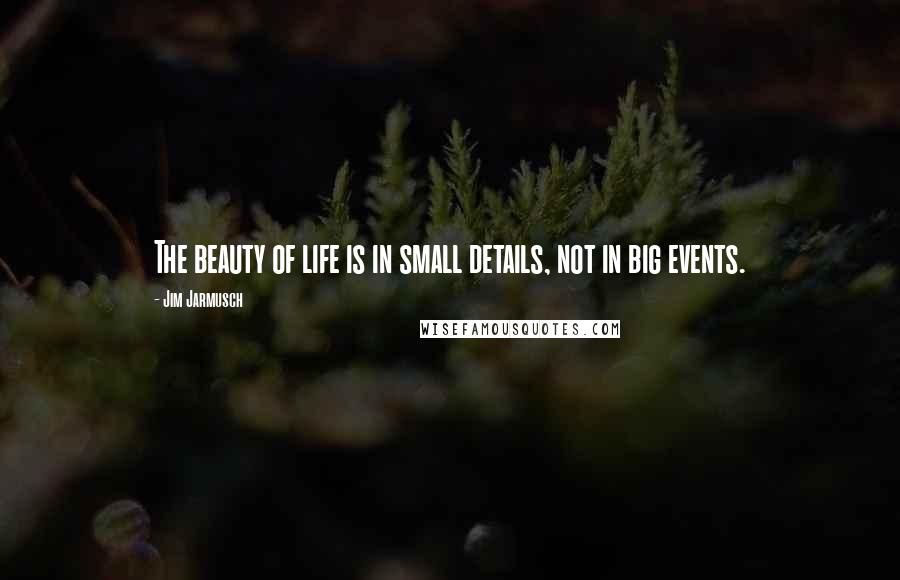 Jim Jarmusch Quotes: The beauty of life is in small details, not in big events.