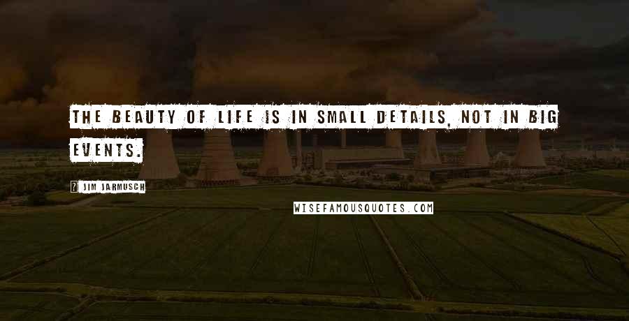 Jim Jarmusch Quotes: The beauty of life is in small details, not in big events.