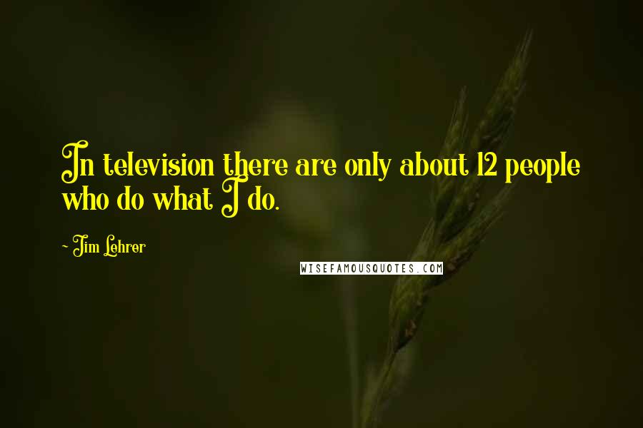 Jim Lehrer Quotes: In television there are only about 12 people who do what I do.