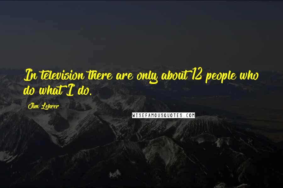 Jim Lehrer Quotes: In television there are only about 12 people who do what I do.