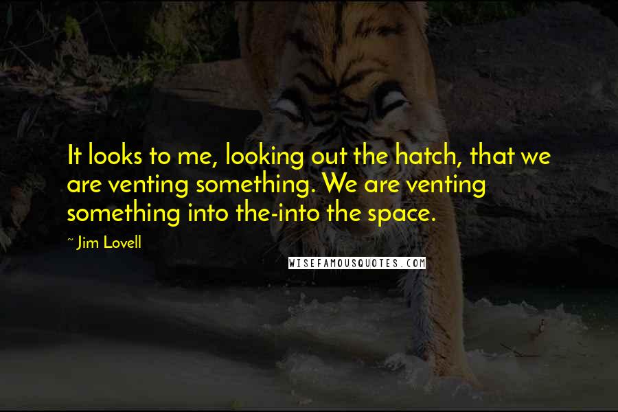 Jim Lovell Quotes: It looks to me, looking out the hatch, that we are venting something. We are venting something into the-into the space.