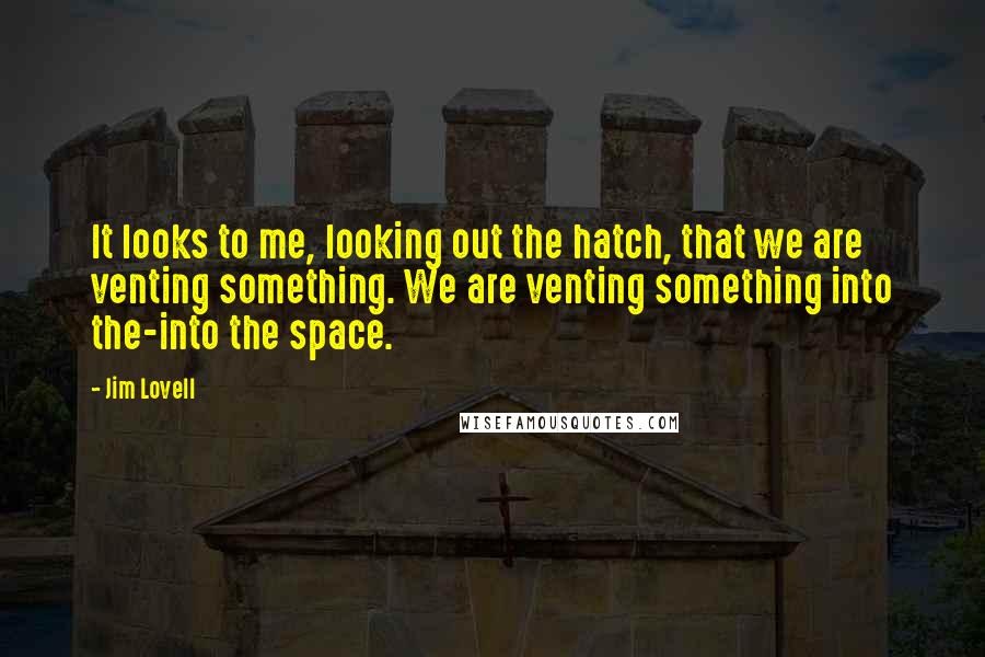 Jim Lovell Quotes: It looks to me, looking out the hatch, that we are venting something. We are venting something into the-into the space.