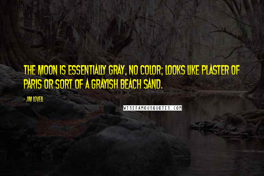 Jim Lovell Quotes: The moon is essentially gray, no color; looks like plaster of Paris or sort of a grayish beach sand.