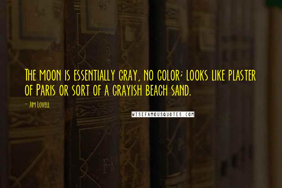 Jim Lovell Quotes: The moon is essentially gray, no color; looks like plaster of Paris or sort of a grayish beach sand.