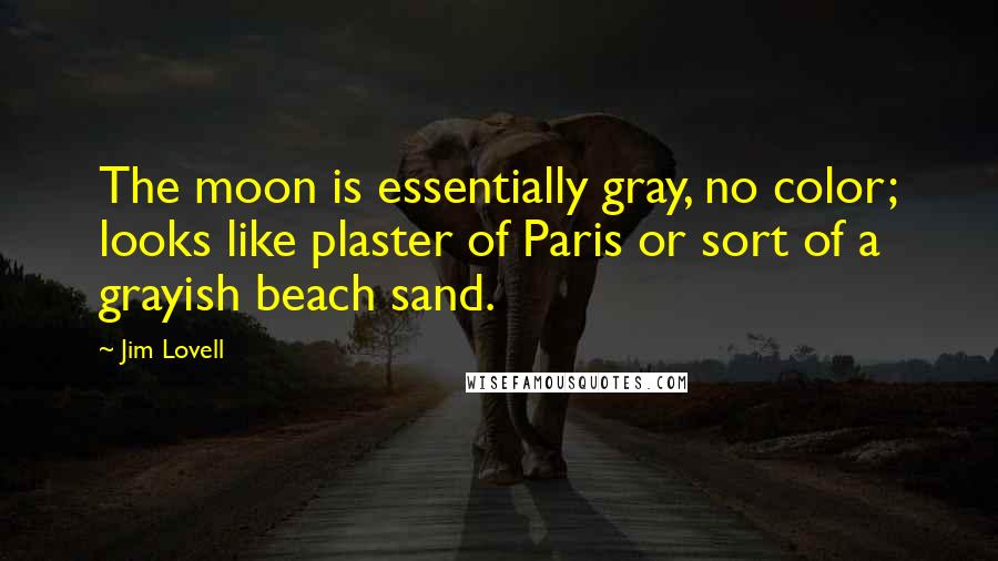 Jim Lovell Quotes: The moon is essentially gray, no color; looks like plaster of Paris or sort of a grayish beach sand.