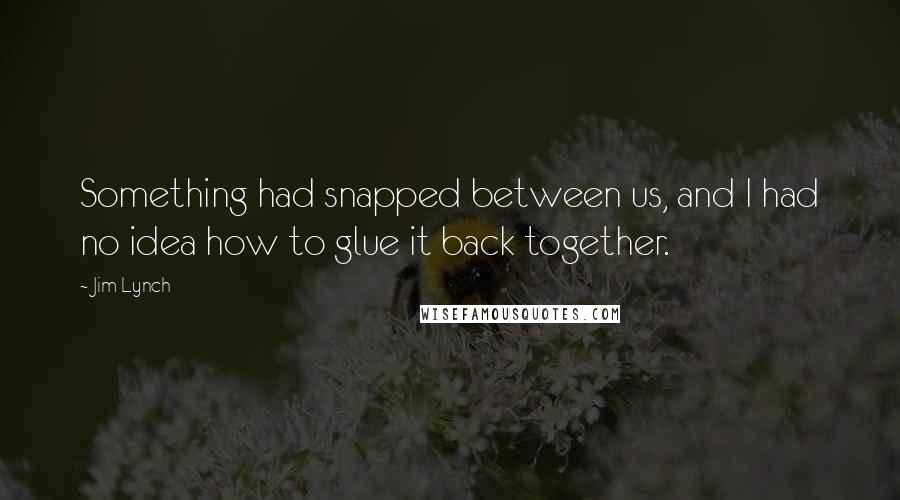 Jim Lynch Quotes: Something had snapped between us, and I had no idea how to glue it back together.