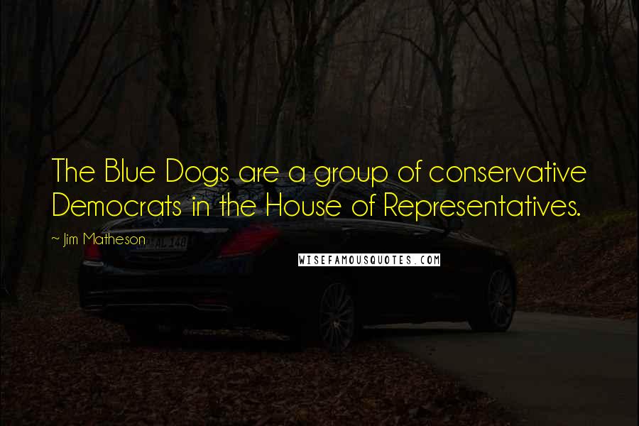 Jim Matheson Quotes: The Blue Dogs are a group of conservative Democrats in the House of Representatives.