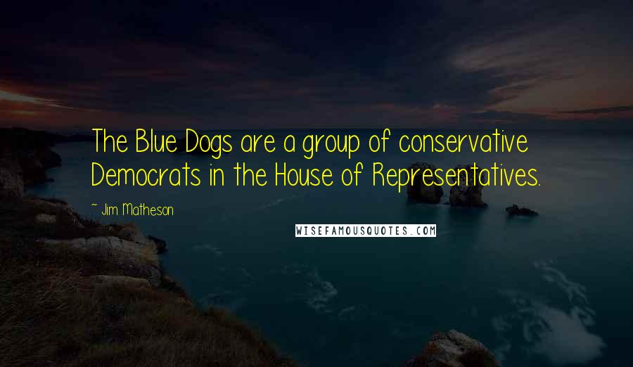 Jim Matheson Quotes: The Blue Dogs are a group of conservative Democrats in the House of Representatives.