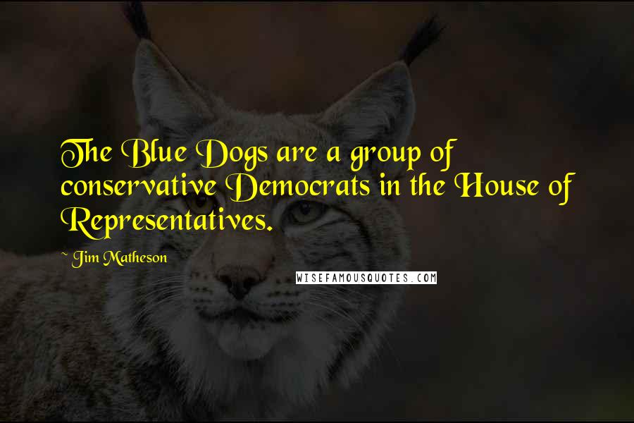 Jim Matheson Quotes: The Blue Dogs are a group of conservative Democrats in the House of Representatives.