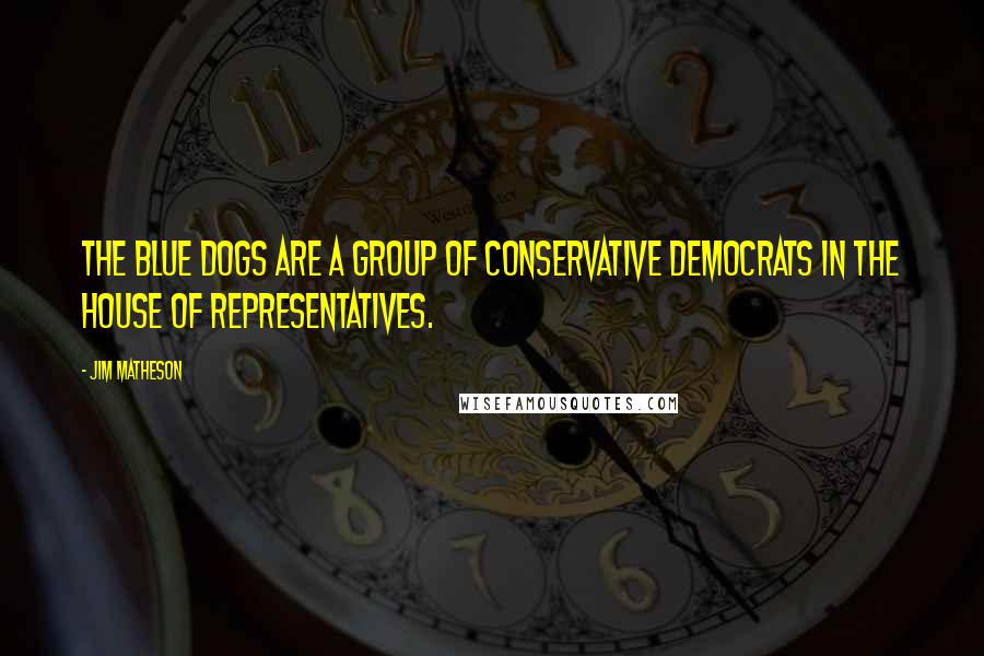 Jim Matheson Quotes: The Blue Dogs are a group of conservative Democrats in the House of Representatives.