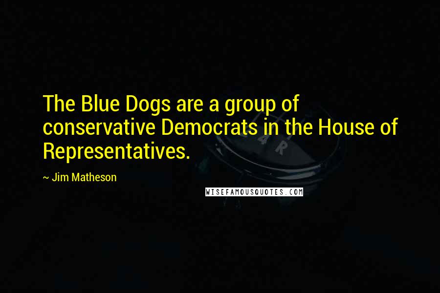 Jim Matheson Quotes: The Blue Dogs are a group of conservative Democrats in the House of Representatives.