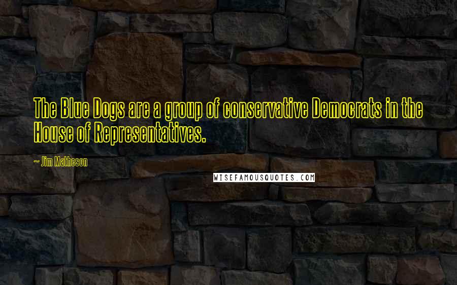 Jim Matheson Quotes: The Blue Dogs are a group of conservative Democrats in the House of Representatives.