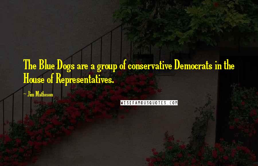 Jim Matheson Quotes: The Blue Dogs are a group of conservative Democrats in the House of Representatives.