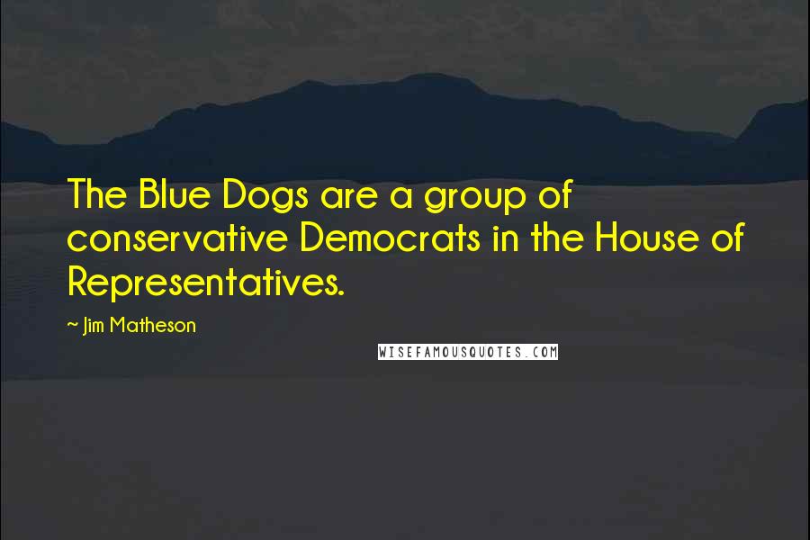 Jim Matheson Quotes: The Blue Dogs are a group of conservative Democrats in the House of Representatives.