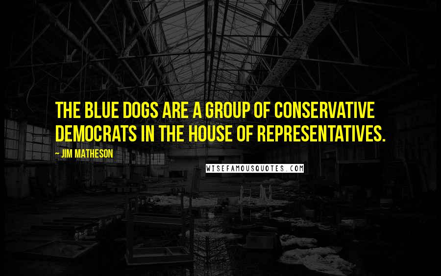 Jim Matheson Quotes: The Blue Dogs are a group of conservative Democrats in the House of Representatives.