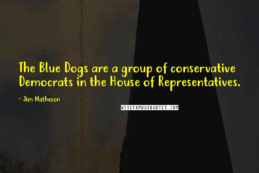 Jim Matheson Quotes: The Blue Dogs are a group of conservative Democrats in the House of Representatives.