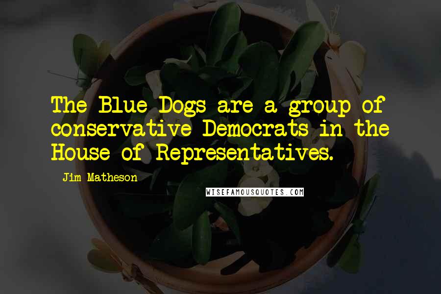 Jim Matheson Quotes: The Blue Dogs are a group of conservative Democrats in the House of Representatives.