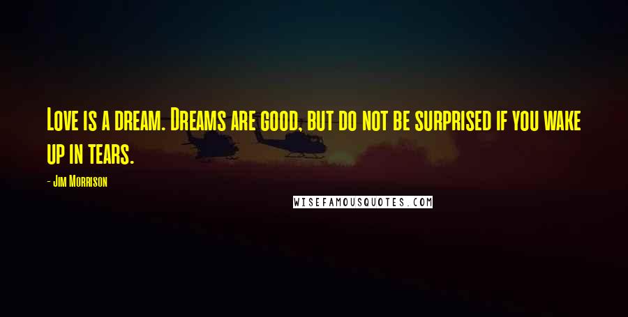 Jim Morrison Quotes: Love is a dream. Dreams are good, but do not be surprised if you wake up in tears.