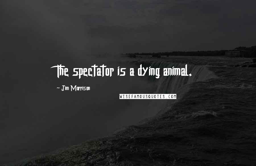 Jim Morrison Quotes: The spectator is a dying animal.