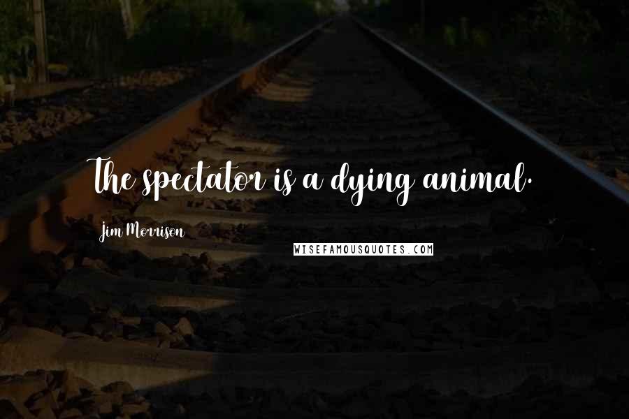 Jim Morrison Quotes: The spectator is a dying animal.