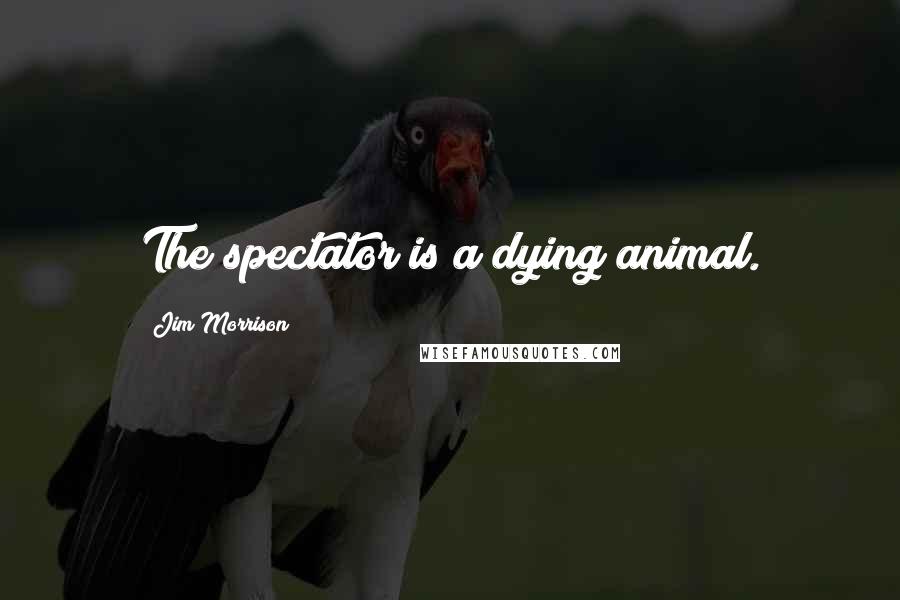 Jim Morrison Quotes: The spectator is a dying animal.